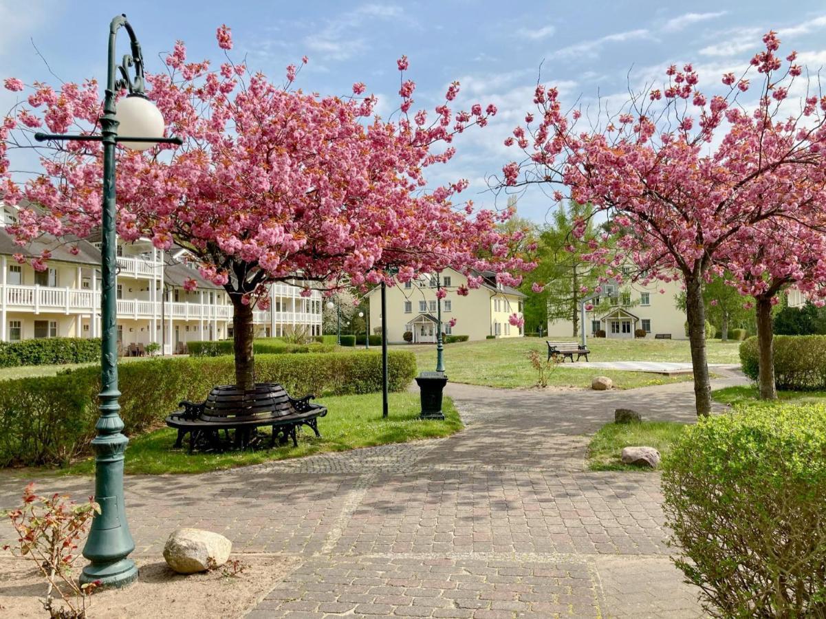 Apartment Dünenpark - Wg 40 Strandgut