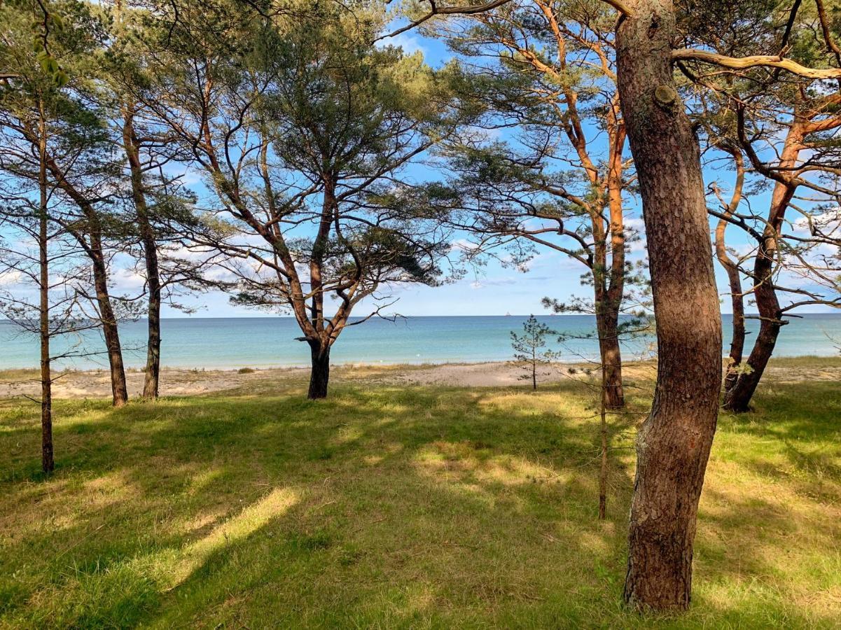 Apartment Dünenpark - Wg 40 Strandgut Ostseebad Binz